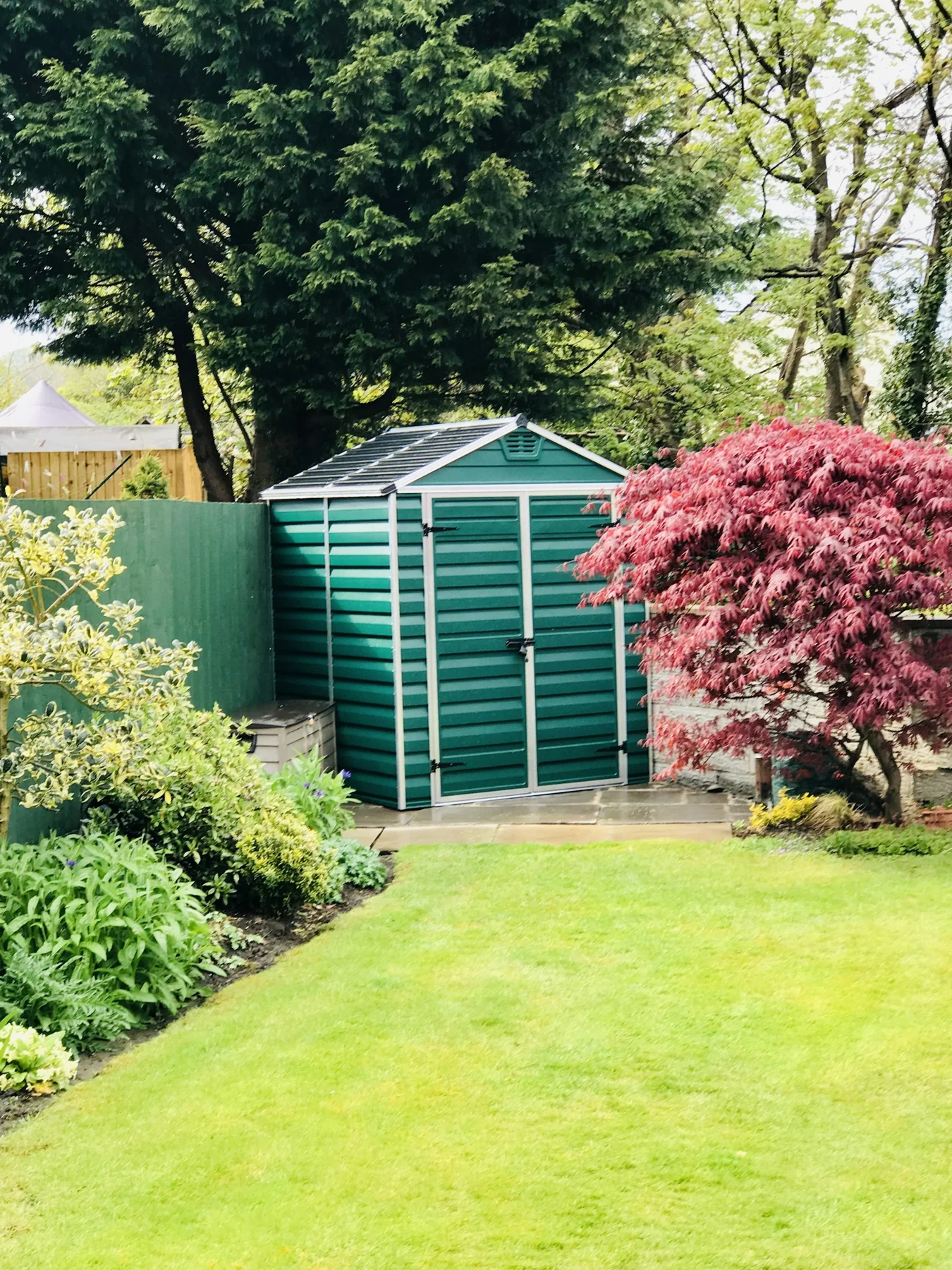 Small green utility shed in leafy garden